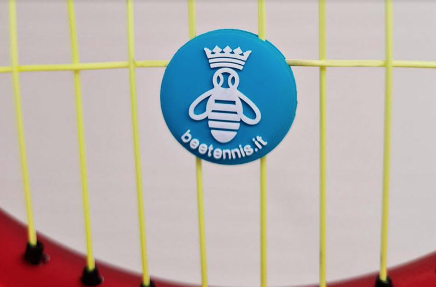 Beetennis