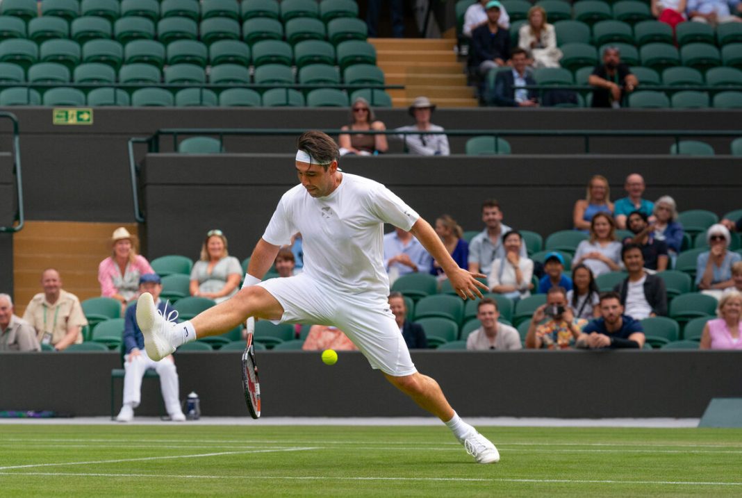 Marcos Baghdatis a Wimbledon nel 2019