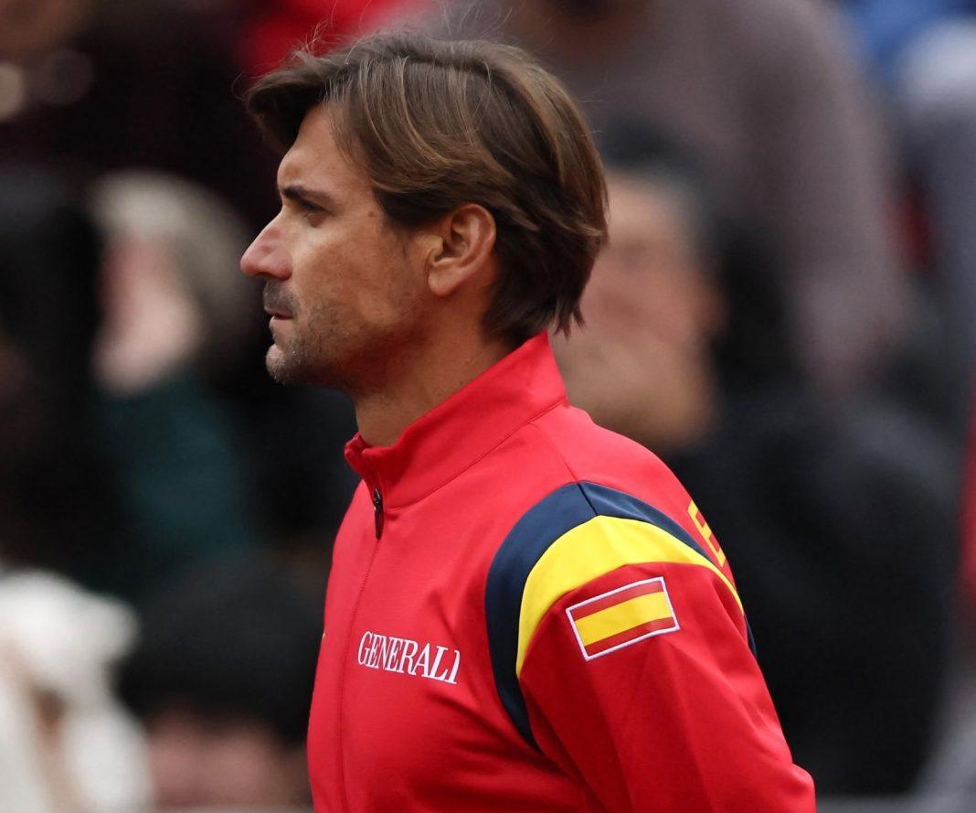 David Ferrer